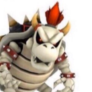 Meet your Posher, Josh